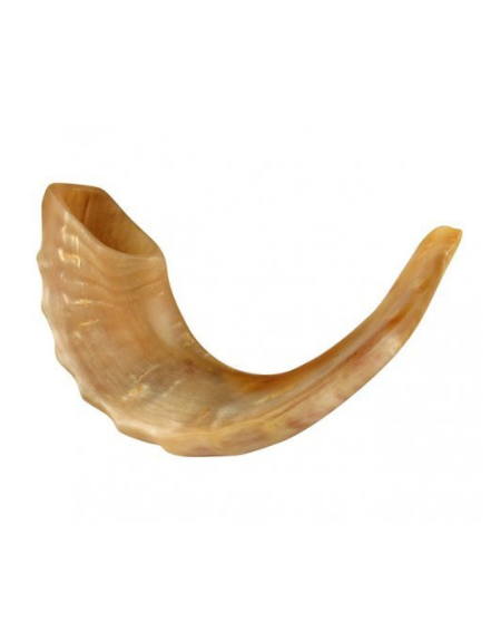 53,3 à 58,4 cm Shofar de corne de bélier juif 