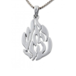 Collier pendentif- Haech Cheli Breslev